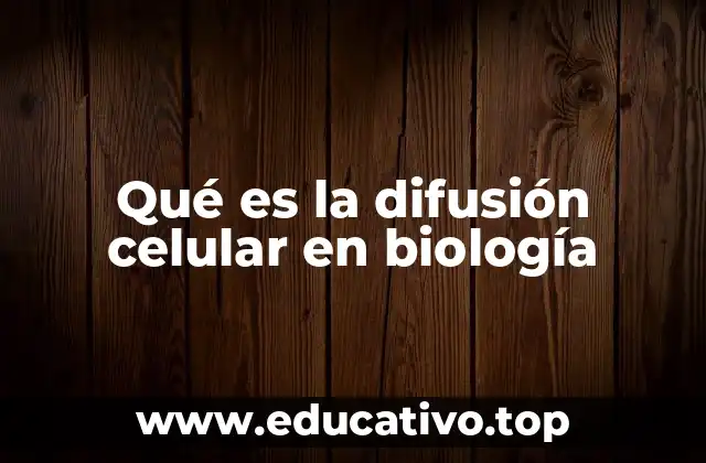 Qué es la difusión celular en biología