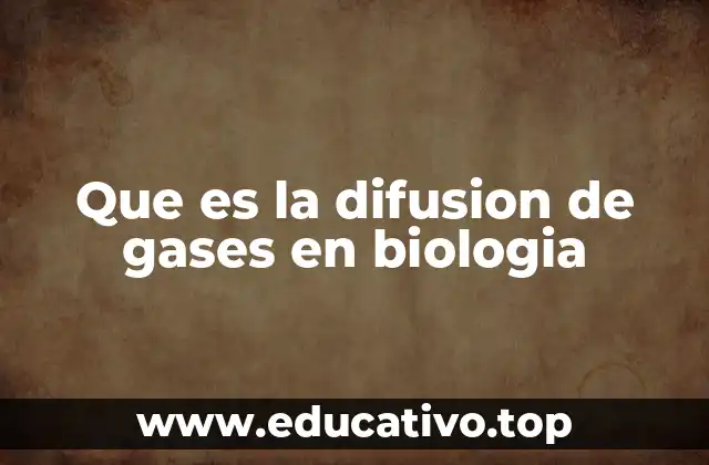 Que es la difusion de gases en biologia