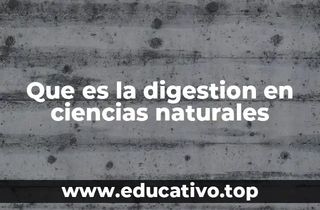 Que es la digestion en ciencias naturales