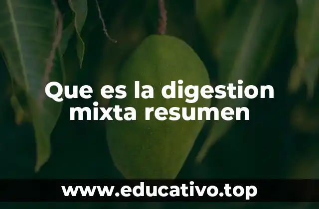 Que es la digestion mixta resumen