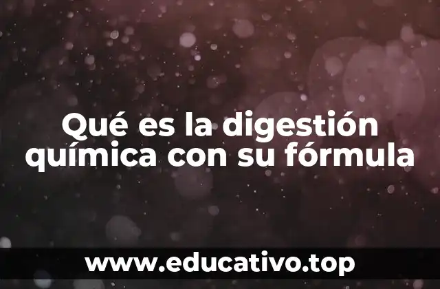 Qué es la digestión química con su fórmula