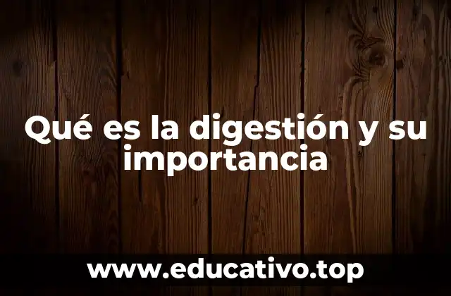 Qué es la digestión y su importancia