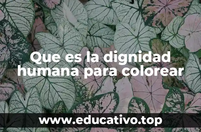 Que es la dignidad humana para colorear