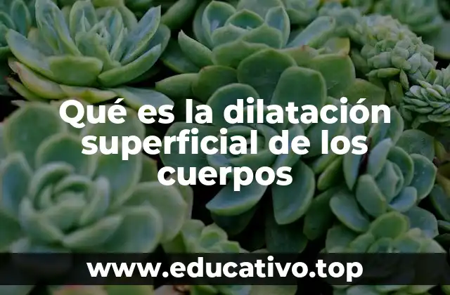 Qué es la dilatación superficial de los cuerpos