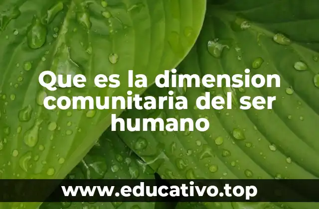 Que es la dimension comunitaria del ser humano