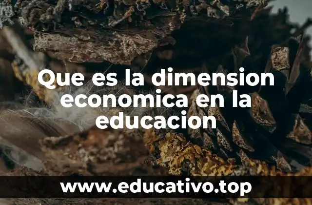 Que es la dimension economica en la educacion