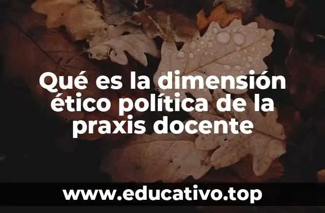 Qué es la dimensión ético política de la praxis docente