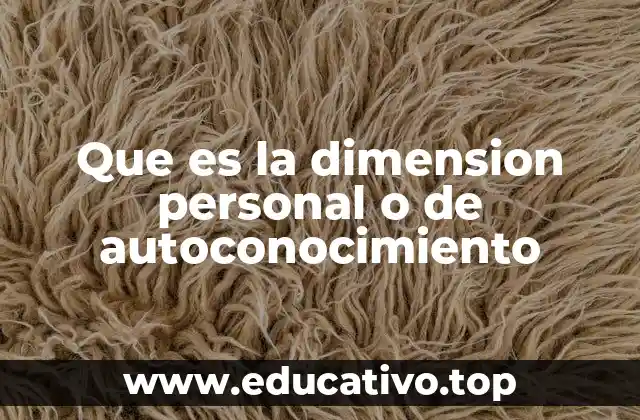 Que es la dimension personal o de autoconocimiento