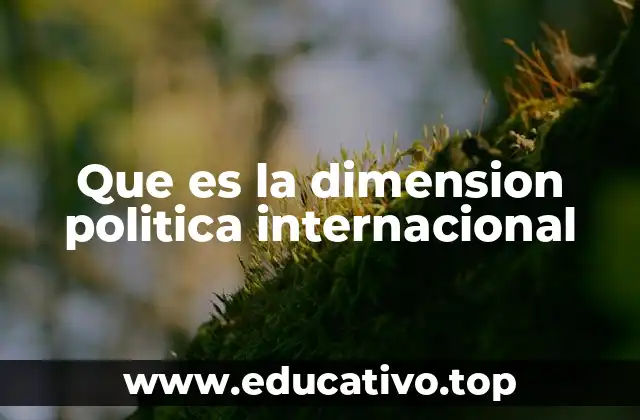 Que es la dimension politica internacional