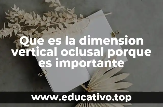 Que es la dimension vertical oclusal porque es importante