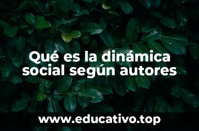 Qué es la dinámica social según autores