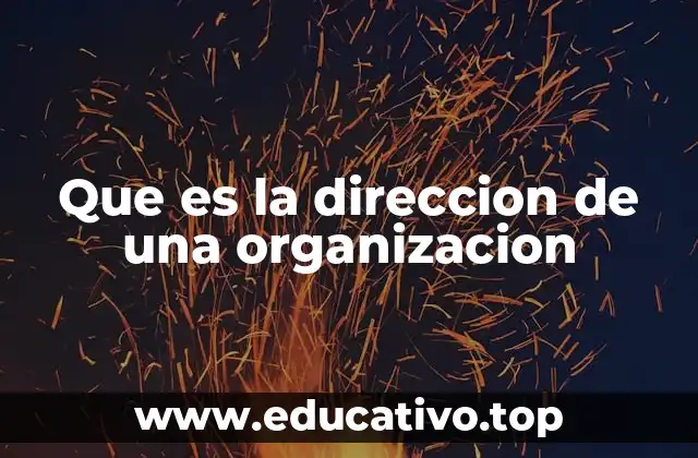 Que es la direccion de una organizacion
