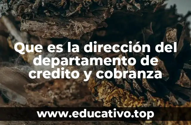 Que es la dirección del departamento de credito y cobranza