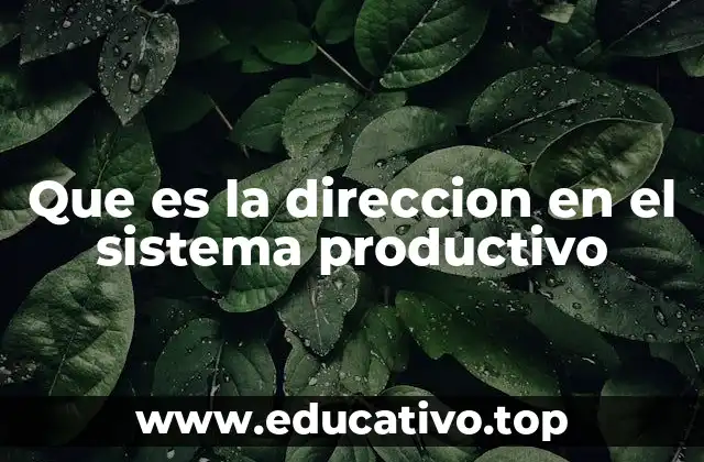 Que es la direccion en el sistema productivo
