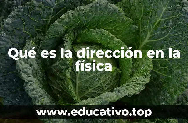 Qué es la dirección en la física