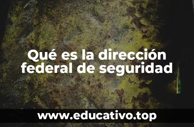 Qué es la dirección federal de seguridad