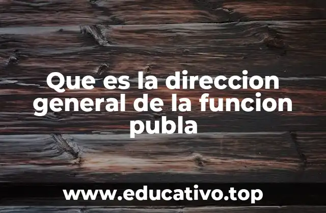 Que es la direccion general de la funcion publa