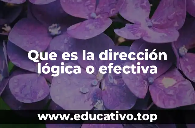 Que es la dirección lógica o efectiva