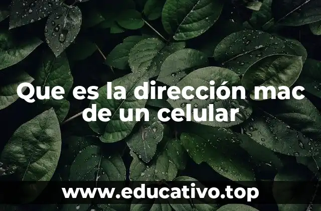 Que es la dirección mac de un celular