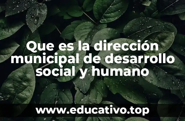 Que es la dirección municipal de desarrollo social y humano