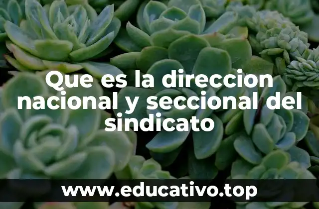 Que es la direccion nacional y seccional del sindicato
