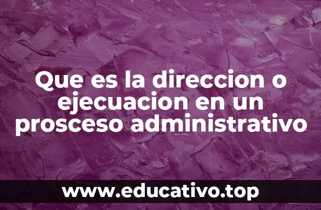 Que es la direccion o ejecuacion en un prosceso administrativo