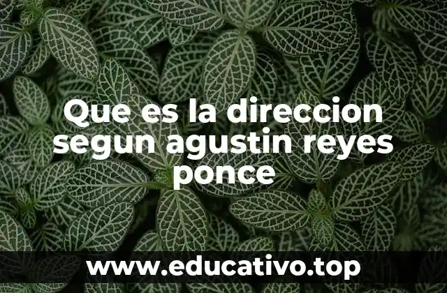 Que es la direccion segun agustin reyes ponce