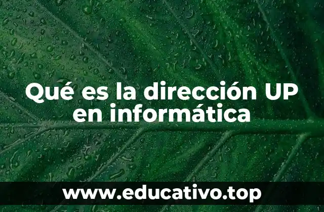 Uso de la dirección UP en arquitecturas y sistemas informáticos