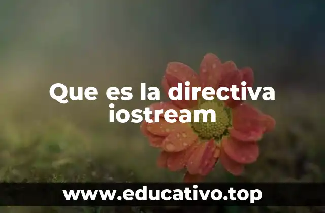 Que es la directiva iostream