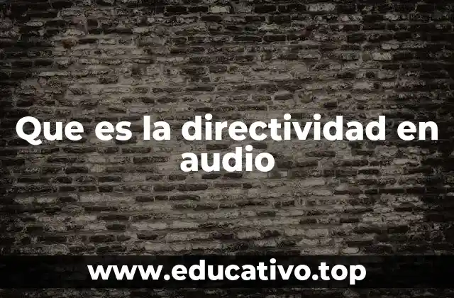 Que es la directividad en audio