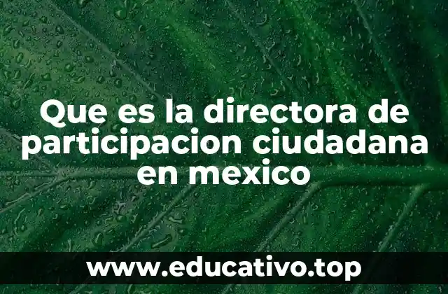 Que es la directora de participacion ciudadana en mexico