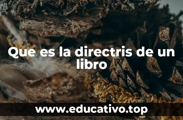 Que es la directris de un libro