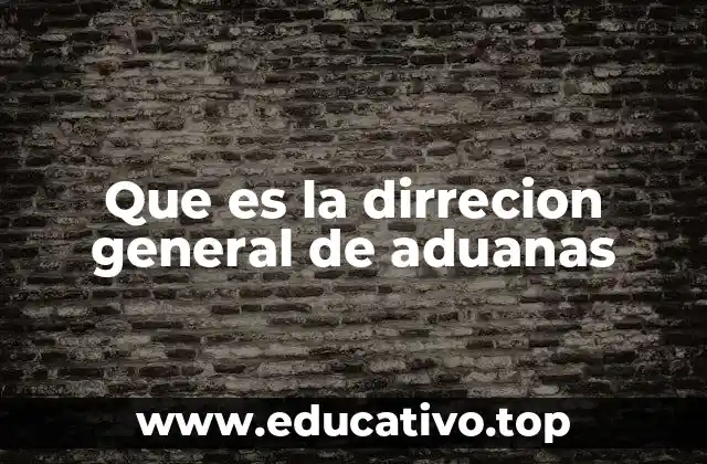 Que es la dirrecion general de aduanas