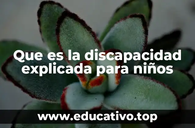 Que es la discapacidad explicada para niños