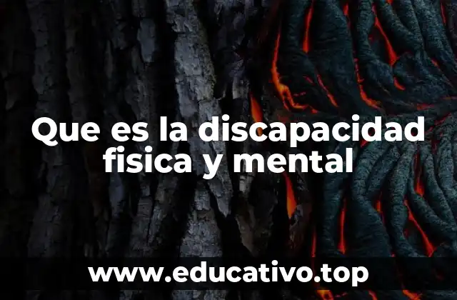 Que es la discapacidad fisica y mental