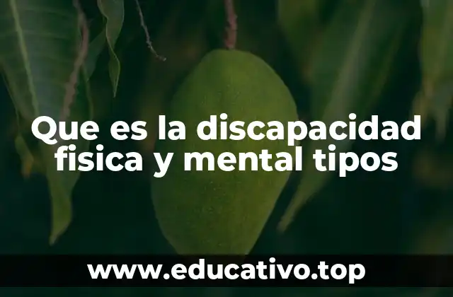 Que es la discapacidad fisica y mental tipos