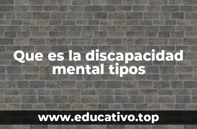 Que es la discapacidad mental tipos