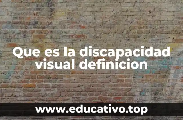 Que es la discapacidad visual definicion