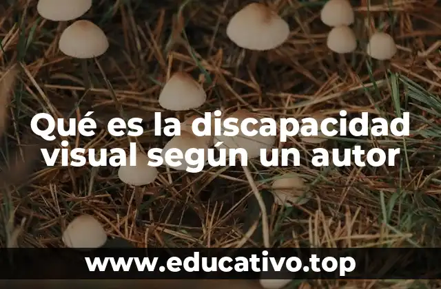 Qué es la discapacidad visual según un autor