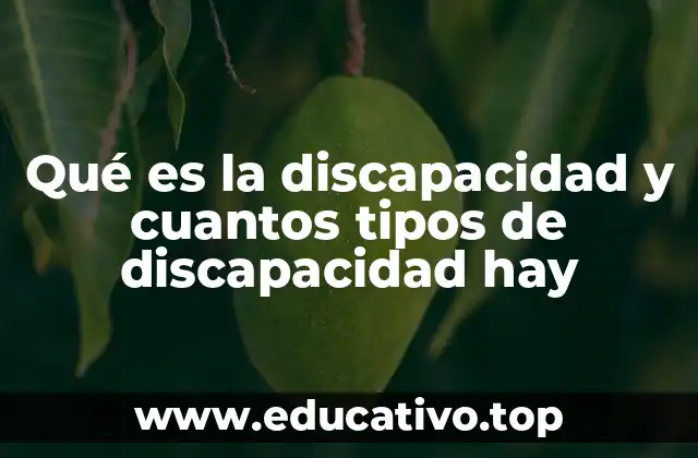Qué es la discapacidad y cuantos tipos de discapacidad hay