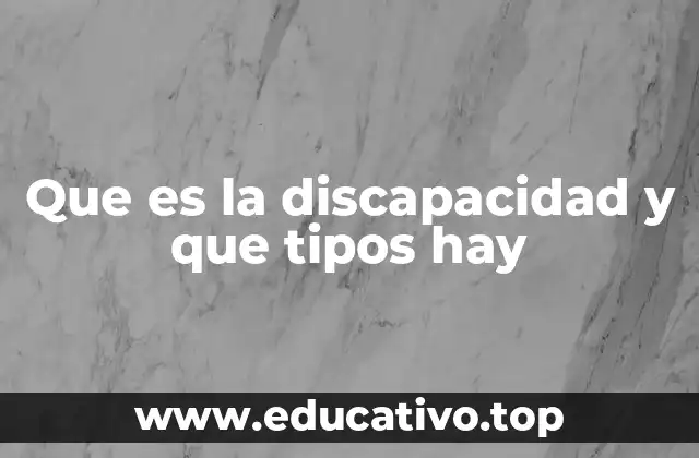 Que es la discapacidad y que tipos hay