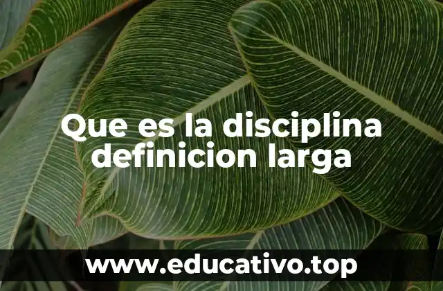 Que es la disciplina definicion larga