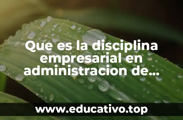 Que es la disciplina empresarial en administracion de empresas