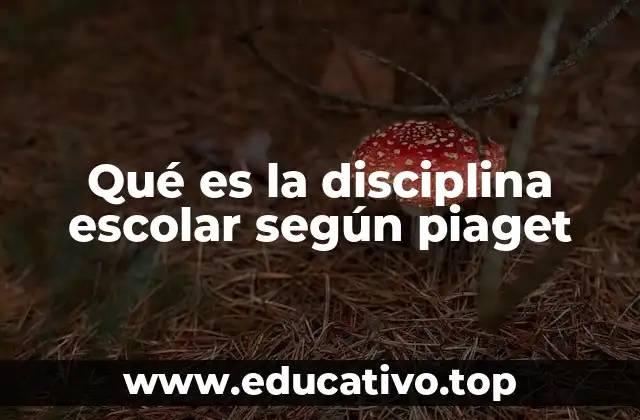 Qué es la disciplina escolar según piaget