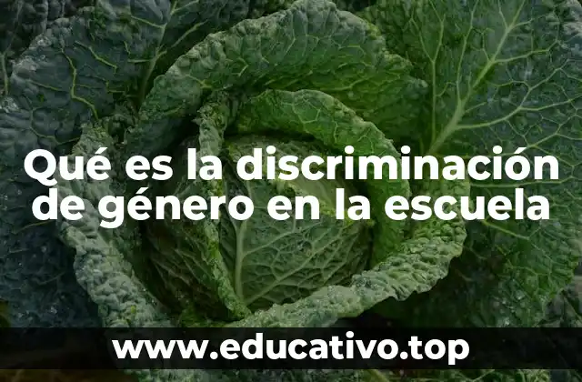 Qué es la discriminación de género en la escuela