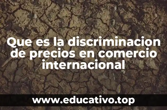 Que es la discriminacion de precios en comercio internacional