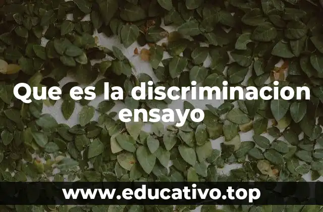 Que es la discriminacion ensayo