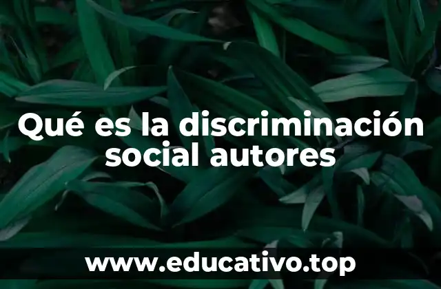 Qué es la discriminación social autores