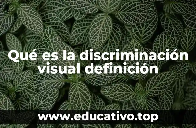 Qué es la discriminación visual definición
