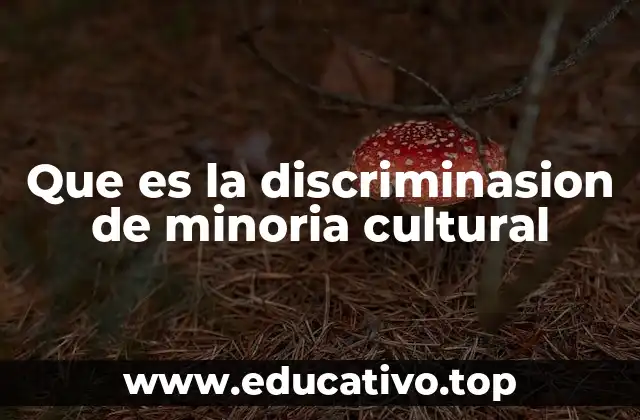 Que es la discriminasion de minoria cultural
